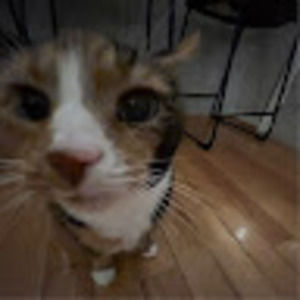 Meet your Posher, Grim